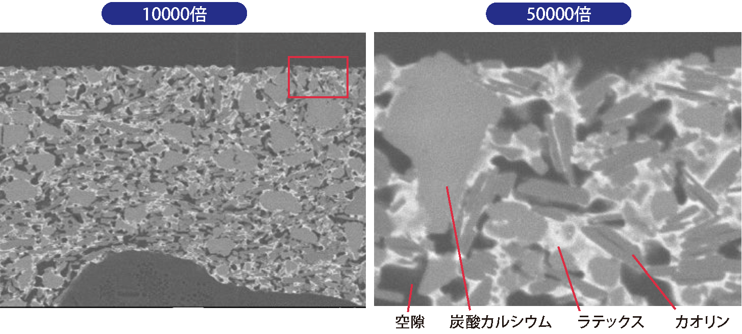 FE-電子顕微鏡による塗工層の解析技術