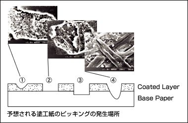 印刷強度(ピッキング)解析